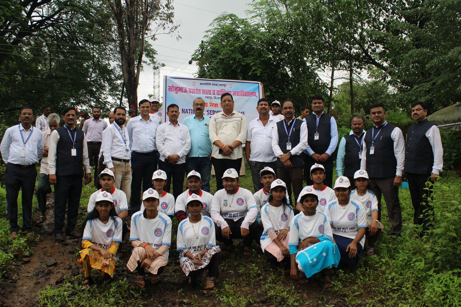 Tree Plantation