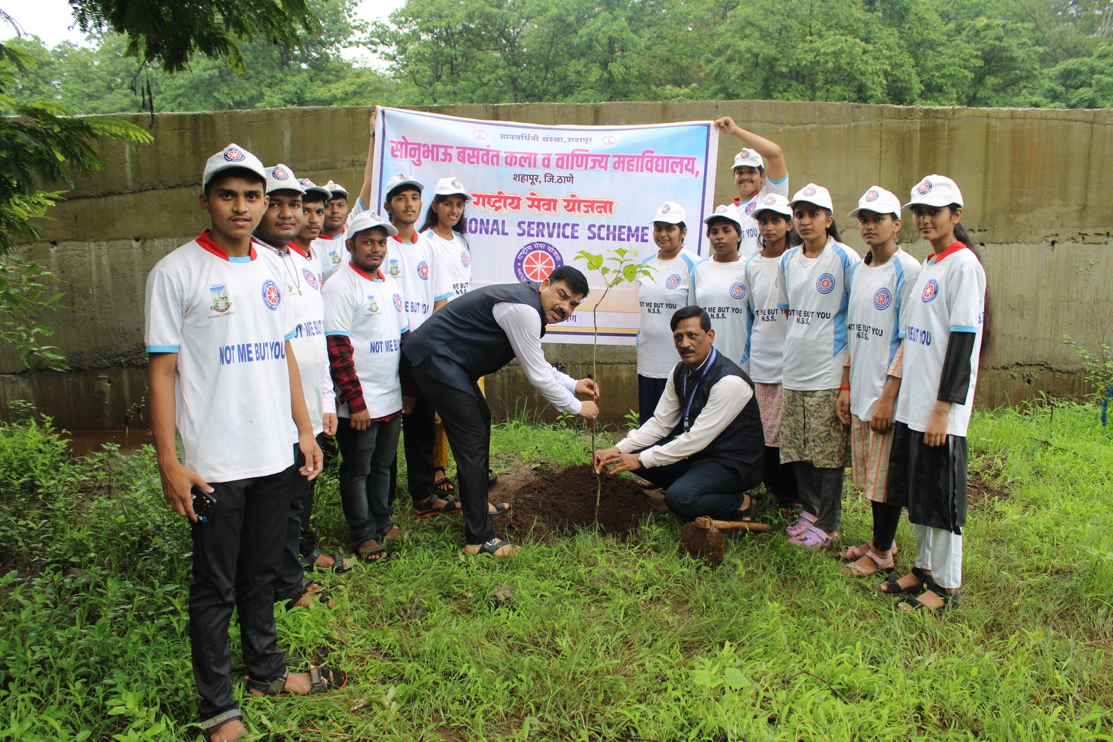 Tree Plantation 2026
